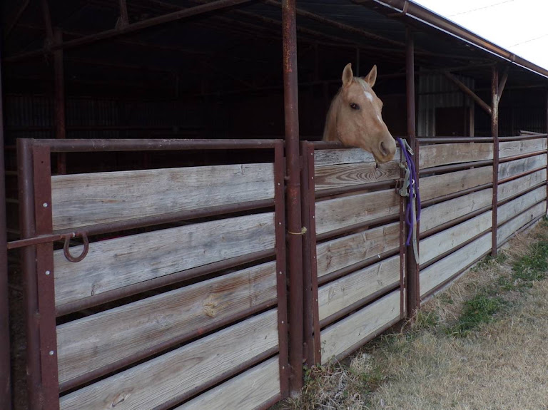 Silver Creek Stables