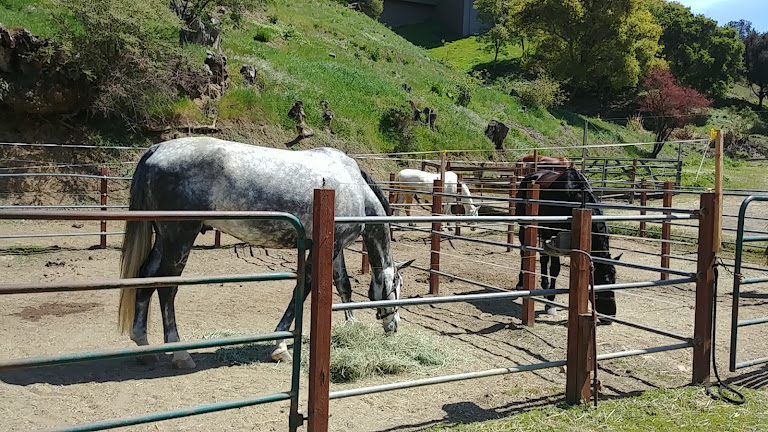 Skyline Ranch Equestrian Center — Equestrian venue in California