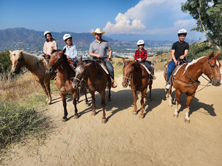Studio Horse Rental