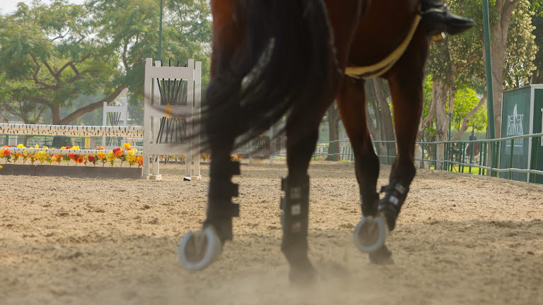 The Paddock Riding Club — Equestrian venue in California