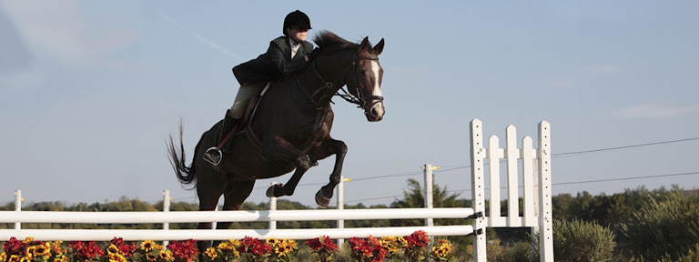 Trinity River Farm & Equestrian Center
